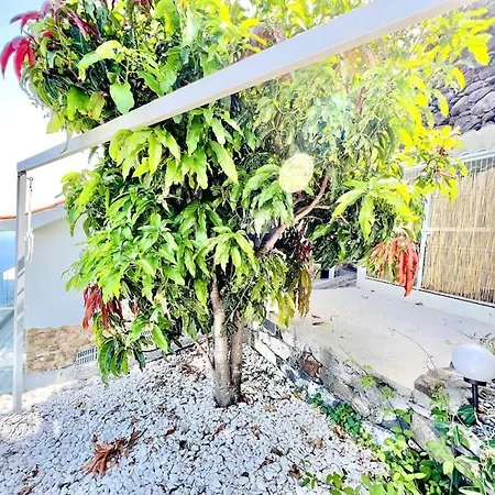 Mar A Vista By Your Madeira Дом отдыха *