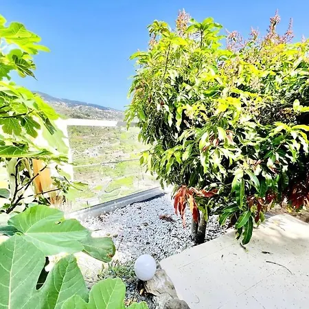 Mar A Vista By Your Madeira Понта-ду-Сол