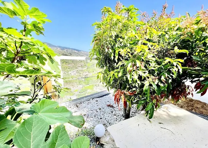 Mar A Vista By Your Madeira פונטה דו סול